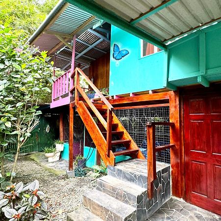 Hidden Jungle Beach House Puerto Viejo de Talamanca Dış mekan fotoğraf