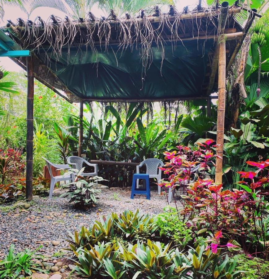 Hidden Jungle Beach House Puerto Viejo de Talamanca Dış mekan fotoğraf