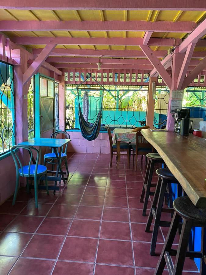 Hidden Jungle Beach House Puerto Viejo de Talamanca Dış mekan fotoğraf