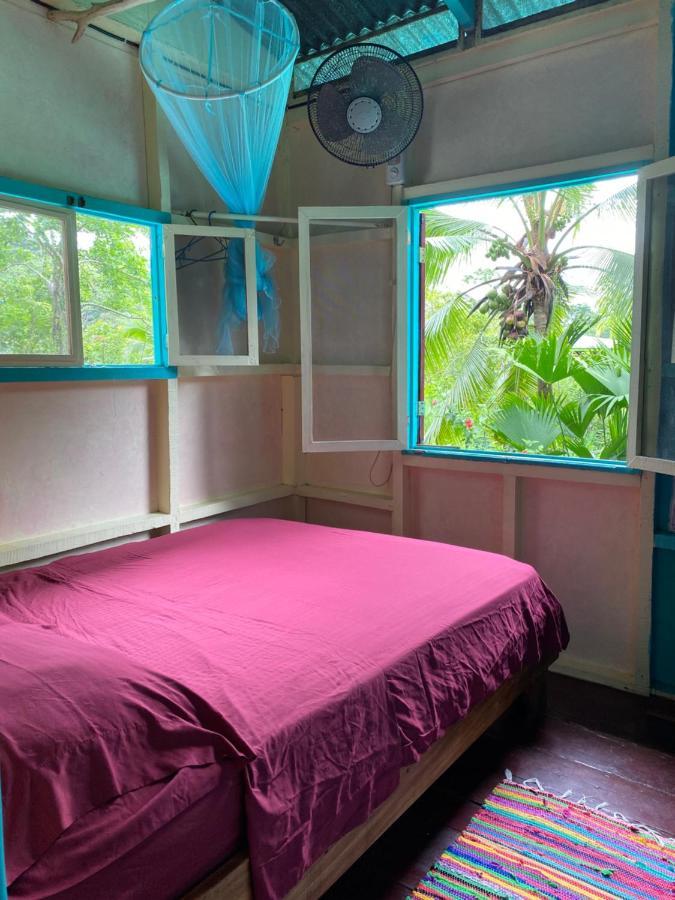 Hidden Jungle Beach House Puerto Viejo de Talamanca Dış mekan fotoğraf