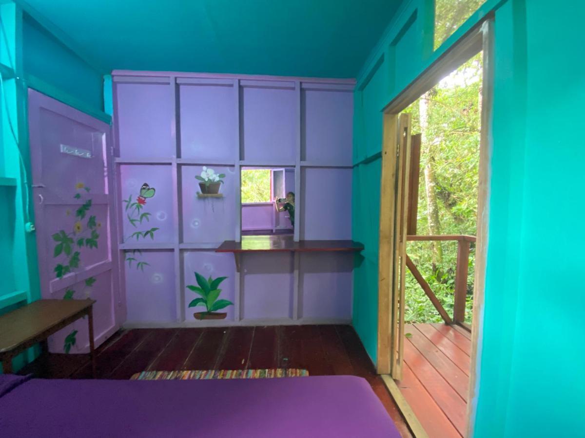 Hidden Jungle Beach House Puerto Viejo de Talamanca Dış mekan fotoğraf