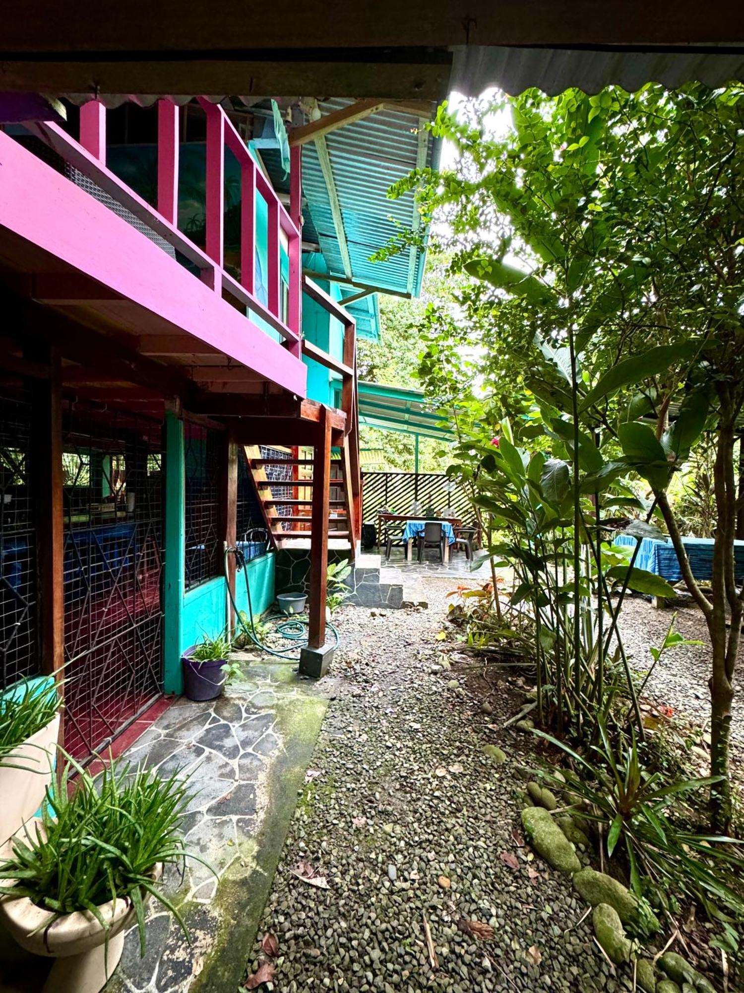 Hidden Jungle Beach House Puerto Viejo de Talamanca Dış mekan fotoğraf