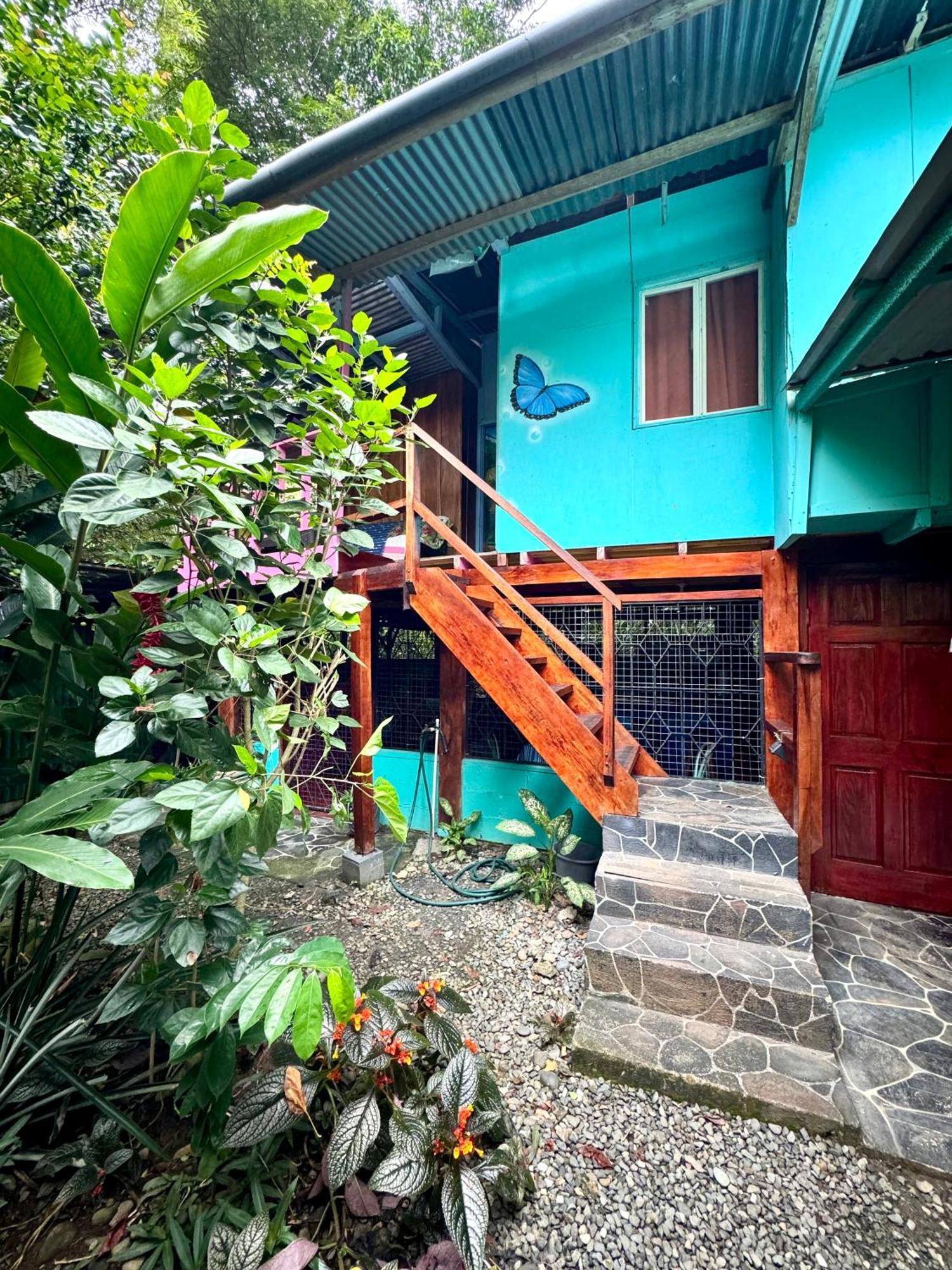 Hidden Jungle Beach House Puerto Viejo de Talamanca Dış mekan fotoğraf