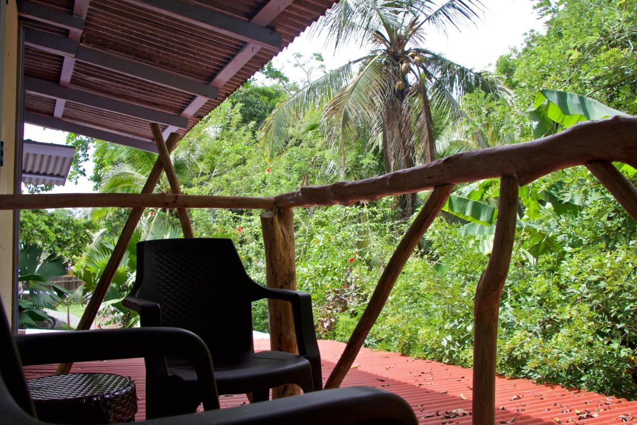 Hidden Jungle Beach House Puerto Viejo de Talamanca Dış mekan fotoğraf